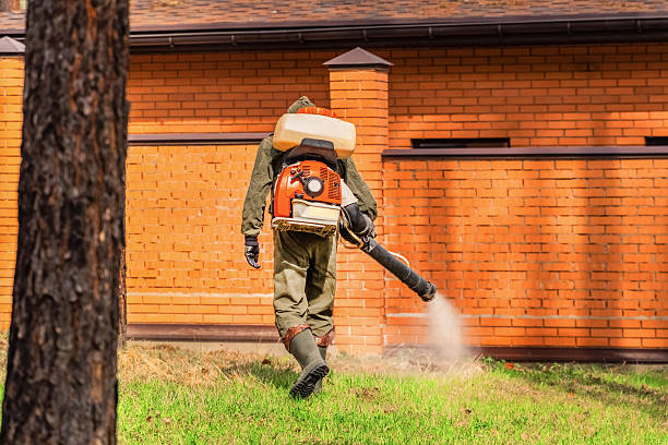 Trusted Mosquito Control service in Sellersville, PA - Nex Pest Control